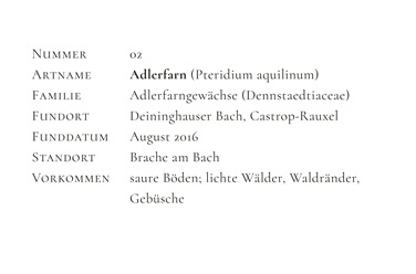 adlerfarn